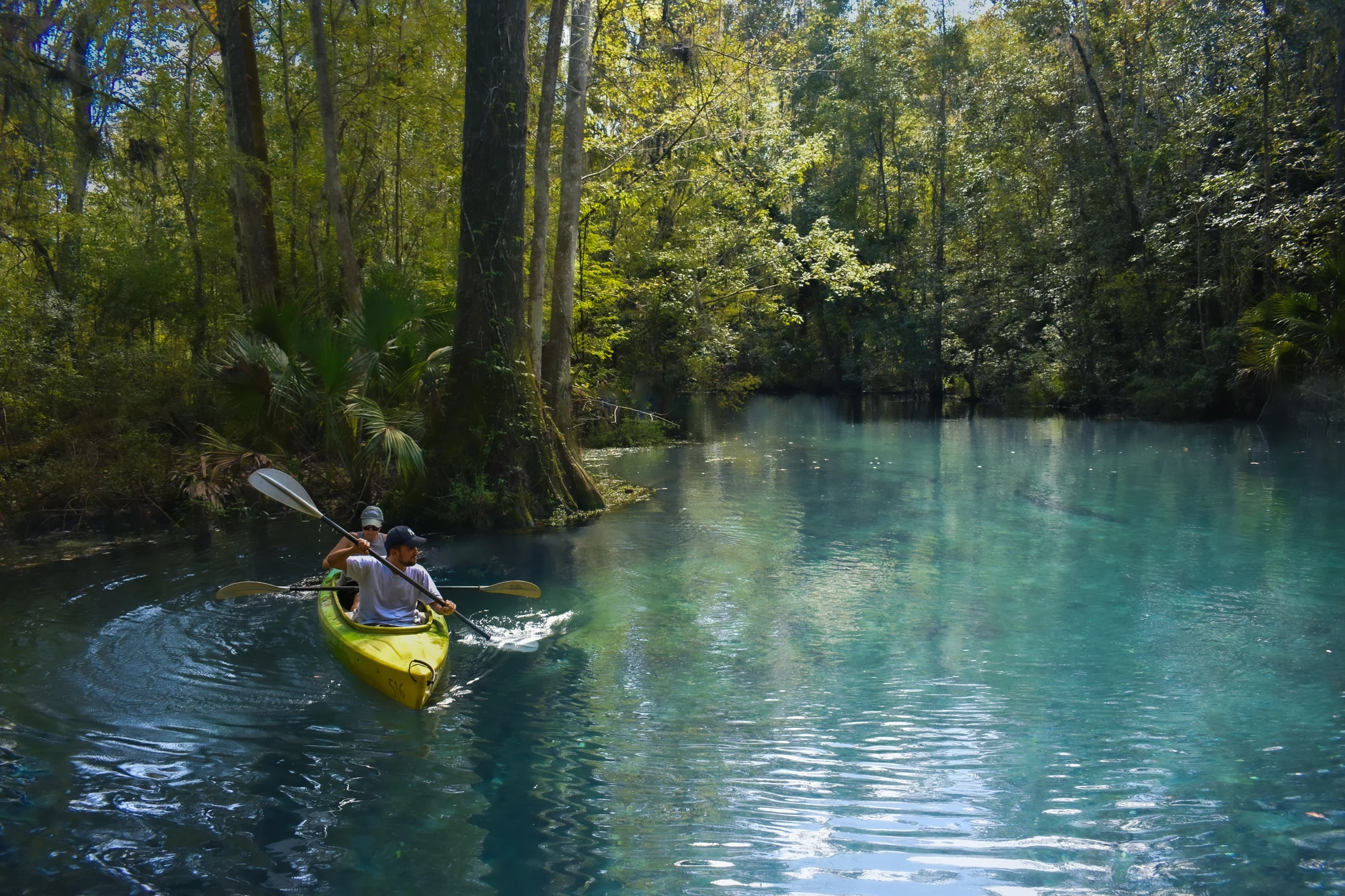 Through Glass and Green: Kayaking Silver Springs State Park